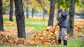 Чи потрібно прибирати опале листя в саду восени