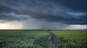 Дощитиме сьогодні у всіх областях, крім західних