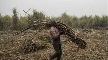 Фермер знайшов статую бога Ганеші, створену в XII столітті. Фото