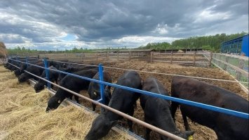Фермерське господарство на Рівненщині отримало майже пів мільйона гривень компенсацій від держави