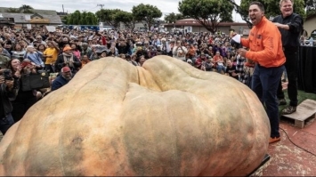 Гарбуз-рекордсмен: вага овоча становить 1246 кг