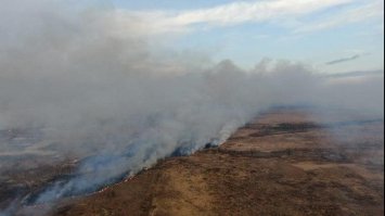 Горіло п'ятдесят гектарів: на півночі Рівненщини локалізували пожежу сухої трави