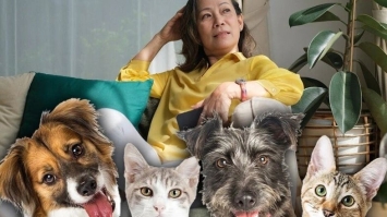 Китаянка заповіла $ 2,8 млн домашнім котам і собакам