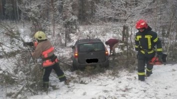 Легковик врізався в дерево, водій не постраждав