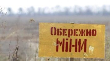Мінна небезпека: по ягоди у ліс на Рівненщині не скрізь ходити можна