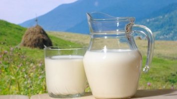 Молоко сприяє довголіттю: цікаві факти про продукт