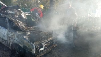 На Березнівщині у пожежі згорів автомобіль