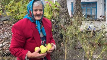 На дерево у 83 роки  - не проблема!