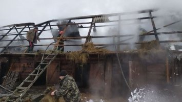 На Дубровиччині вогнеборці рятували господарську будівлю із сіном (ФОТО)