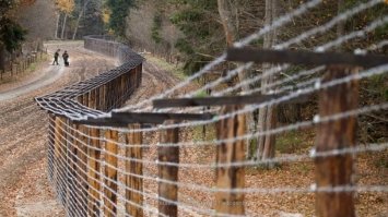 На кордоні Польщі та Білорусі скоро з'явиться стіна