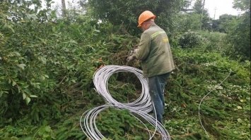 На Рівненщині люди покрали кабель, обірваний після грози