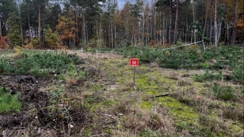 На Рівненщини неподалік кордону на міні підірвався мотоцикліст