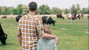 На Рівненщині створено 8 сімейних фермерських господарств