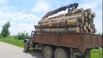 На Рівненщині затримали лісничого на хабарі 