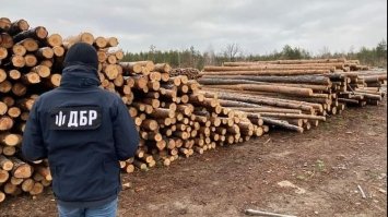 На Сарненщині під час обшуків вилучено деревини на 250 тис. грн