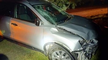 На Сарненщині поліцейські затримали нетверезого водія за вчинене смертельне ДТП (ФОТО)