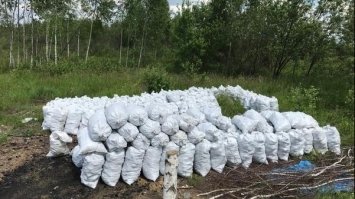 На Сарненщині вилучили 5 піролізних бочок та близько 20 тонн деревного вугілля