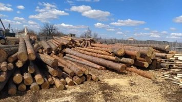 На Сарненщині вилучили майже 60 «кубів» незаконної деревини  