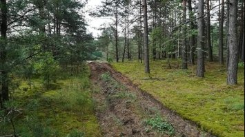 На Сарненщині зникла жінка, яка пішла в ліс по ягоди. До пошуків залучили рятувальників