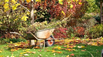 Не забудьте про часник: що роблять в саду та на городі в жовтні