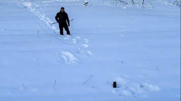 Неподалік залізничних колій на Рівненщині знайшли міни, які скинули 