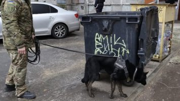 Новонароджена дитина у смітнику: поліція розшукує матір