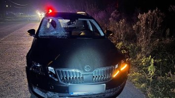 Обганяв автомобіль й збив пішохода