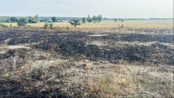 Палила сухе зілля й згоріла разом з ним