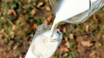 Пити чи не пити молоко дорослим: аргументи «за» та «проти»