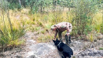 Поїхав по гриби та не повернувся: на Рівненщині шукають заблукалого чоловіка