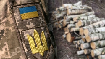 Посадовця військкомату підозрюють у незаконній вирубці дерев у заповіднику на Рівненщині