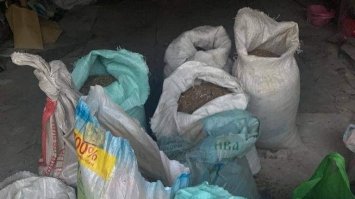 Придбали бурштину на майже 3 млн грн – судитимуть злочинців з Сарненщини