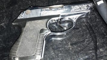 Прикордонники знайшли зброю, а собака винюхав наркотики