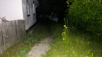  Різанина під час застілля 