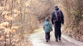 Щоб позбутись потрясінь — гуляйте пішки