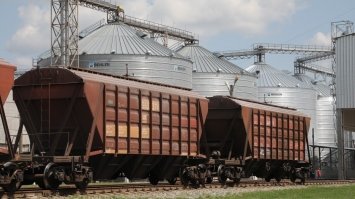 Шість вагонів зерна поїхали у Київ з Рівненщини 