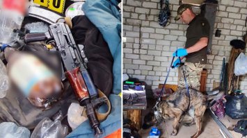 Стрілянина у селі Золотин