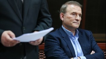 Суд у Львові арештував ще 154 об’єкти майна сім’ї Медведчуків