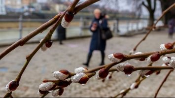 Тепліше за норму: синоптики розповіли, яка погода чекає на українців у березні