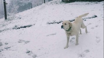 Травень продовжує дивувати. Українське село засипало снігом (фото, відео) 