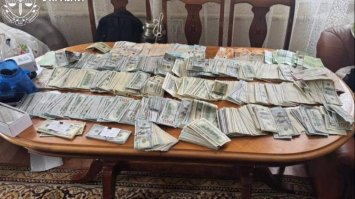 Триста тисяч доларів знайшли в очільниці ВЛК під час обшуків 