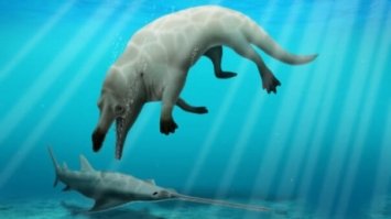 У Єгипті вчені знайшли останки дельфіна з ногами