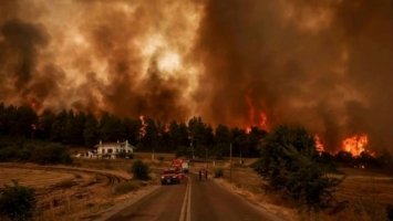 У Греції через лісові пожежі за ніч евакуювали понад 20 населених пунктів