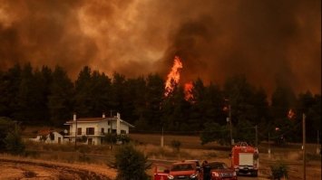 У Греції з'явилися перші жертви лісових пожеж