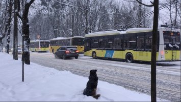 У Львові відключили від електроенергії лікарні та електротранспорт