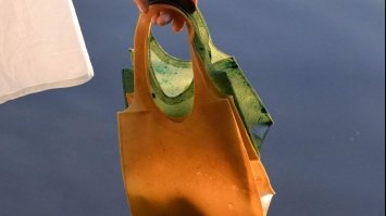 У Німеччині створили екологічні сумки з фруктової шкірки