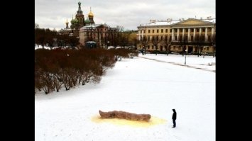 У Санкт-Петербурзі художник зліпив інсталяцію у вигляді купки лайна на Марсовому полі 