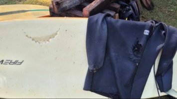 В Австралії акули атакують відпочивальників, деякі пляжі закрили