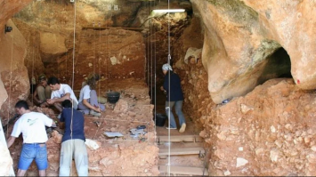 В Іспанії знайдено кістку, що належала предку сучасних людей