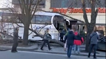 В Одесі водій автобуса знепритомнів: розбив 3 авто та в'їхав у мотосалон